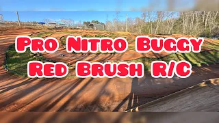 Pro Nitro Buggy A-Main