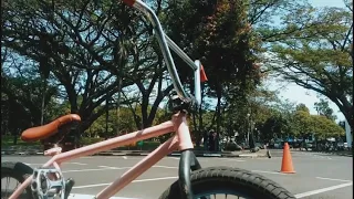 Bdgbmx