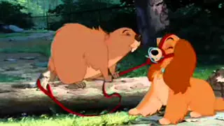 Lady and the Tramp Beaver