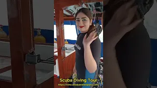 Scuba Diving Tour | Diving Tour Beginner İnfo