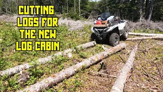 Cutting Logs For The New Log Cabin