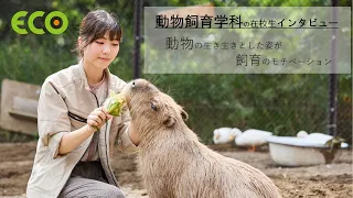 動物飼育学科の在校生にインタビュー🐾【#北海道エコ動物自然専門学校】