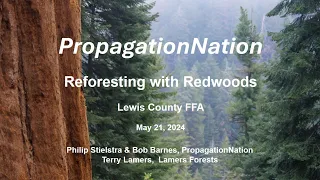 Reforesting with Redwoods, by Philip Stielstra and Terry Lamers