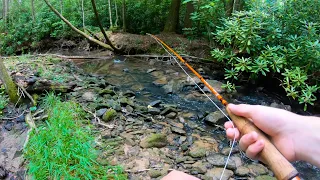 Micro Creek Fishing for Trout! (NEW PB!)
