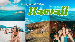 spring break in hawaii ❤️‍🔥🎲 | surfing, tanning, & beach days