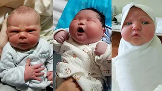 Most Beautiful and Chubby Newborn will Make Your Heart Melt | Funny Baby Videos