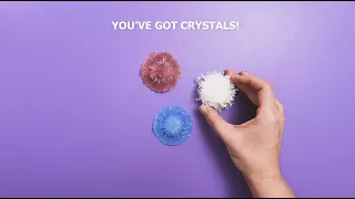 Watch how to grow real crystals for your terrarium! It's magical! 💎