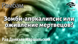 [29 часть] Зомби-апокалипсис или оживление мертвецов? Рав Даниэль Маршальский