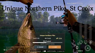 FishingPlanet- Unique Northern Pike, St Croix