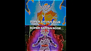 Goku vs Goku Black (All Forms)