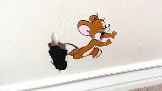 Dad fixed the hole in daughters bedroom! 🕳️🐁