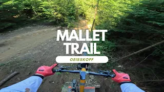 Mallet Trail Freeride Line Bikepark Geisskopf full run POV RAW