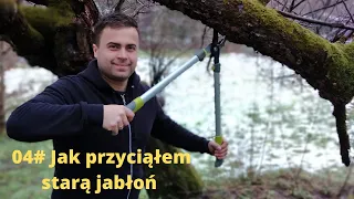 #04 Jak przyciąłem starą jabłoń