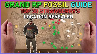 Uncovering GTA Grand RP's Top 30 Strawberry Fossil Locations