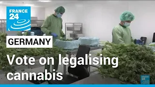 German lawmakers to vote on legalising cannabis • FRANCE 24 English