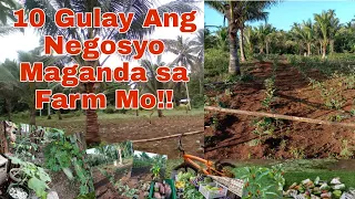 10 Gulay Ang Negosyo Magpapaganda ng  Pamumuhay | Live Healthy Live Wealthy | Vegetable Farming