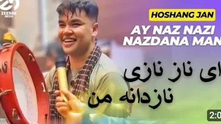 آهنگ که این روزا در فضای مجازی غوغا بپا کرده _پیش بسوی میلیونی شدنش_ هوشنگ_آهنگ نازی نازی