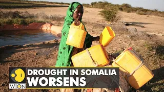 Drought in Somalia worsens: 7.1 million Somalis face acute levels of food insecurity | WION