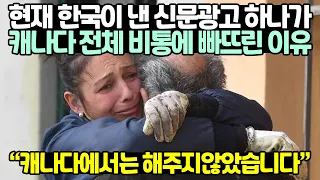 현재 한국이 낸 신문광고 하나가 캐나다 전체 비통에 빠뜨린 이유 // "캐나다에서는 해주지않았습니다"