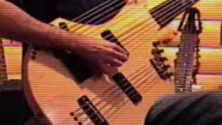 15 String Bass Harp 1