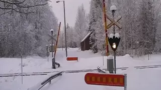 Freight train T 3365 passed Eerola level crossing in Laukaa, Finland
