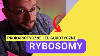 Budowa i funkcje rybosomów [Matura z biologii 2023 + studia]