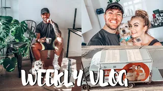 MOVING VLOG 3 | WE FINALLY MOVED HOUSE!