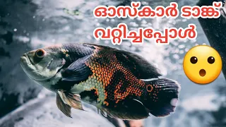 ഓസ്കാർ ഫിഷ്ടാങ്ക് വറ്റിച്ചപ്പോൾ | Oscar fish tank cleaning malayalam | Malayalam | @vjsmedia9834