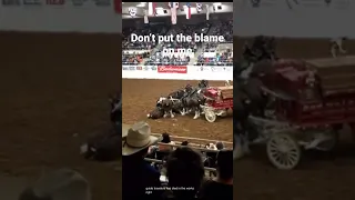 Budweiser Clydesdale accident edit