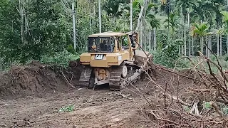 Amazing!!! Speed of Caterpillar D6R XL Bulldozer Working on Plantation Road Widening