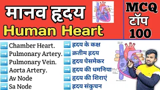 Human heart MCQ | मानव ह्रदय | Science Gk MCQ | group d | Gk for vyapam | Gk for railway exam | mcq