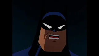 Batman The Animated Series: House and Garden [5]