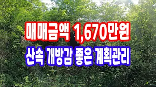 경북토지 시골토지 매매1,670만원 185평 삼면 산속 농막자리 최고 피톤치드 한 가득 땅 소액 매물