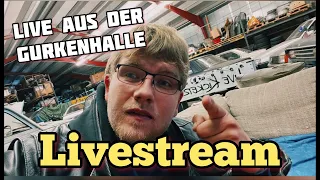 Der Offizielle Frage & Antwort Stream LIVE aus der Gurkenhalle