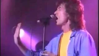 Mick Jagger -  Evening Gown