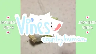 countryhuman vines 1