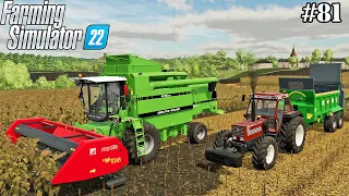 FS 22 |OLD FARM| Sunflower harvest. Manure spreading. Plowing, cultivating, sowing. | #81