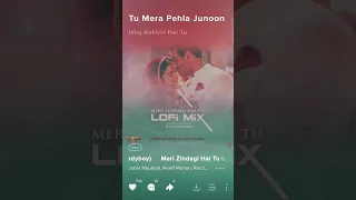 Meri Zindagi Hai Tu (LoFi) DJ Moody |John A, Divya K Kumar | Rochak, Jubin N,Neeti M, Manoj M