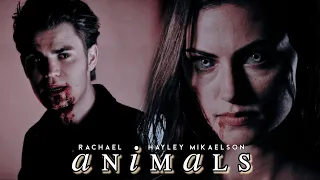 the vampire diaries | animals [+hayley mikaelson]