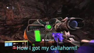 How to get Gallahorn