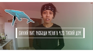 Синий кит. Тихий Дом. Разбуди меня в 4:20. Поиграем || BikaBreezy