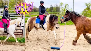 TRAINING HORSES-A DAY IN THE LIFE AT FREE SPIRIT EQUESTRIAN!