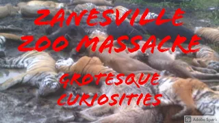 Zanesville Zoo Massacre | Grotesque Curiosities