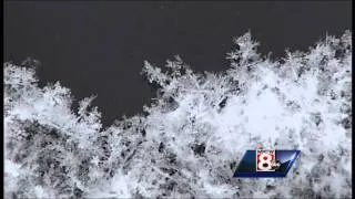 Video: See amazing snowflakes up close