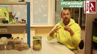 Именно такое потребление чеснока делает его полезным для здоровья!