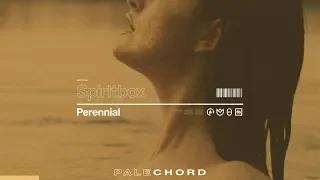 Spiritbox -   Perennial (Official Music Video)