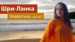 ШРИ-ЛАНКА 2019 / Унаватуна 2 дня. Часть1. Пляжи Унаватуна и Джангл Бич!