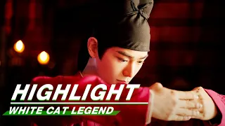 Highlight EP33-35:Li Bing Reveals His True Feelings | White Cat Legend | 大理寺少卿游 | iQIYI