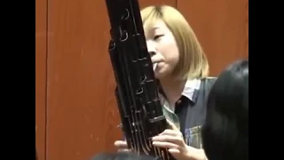 Ancient Chinese Instrument Sounds Exactly Like Super Mario 👾