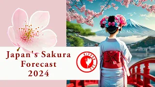 💮💮💮Japan's Sakura (Cherry Blossoms) Forecast 2024 💮💮💮